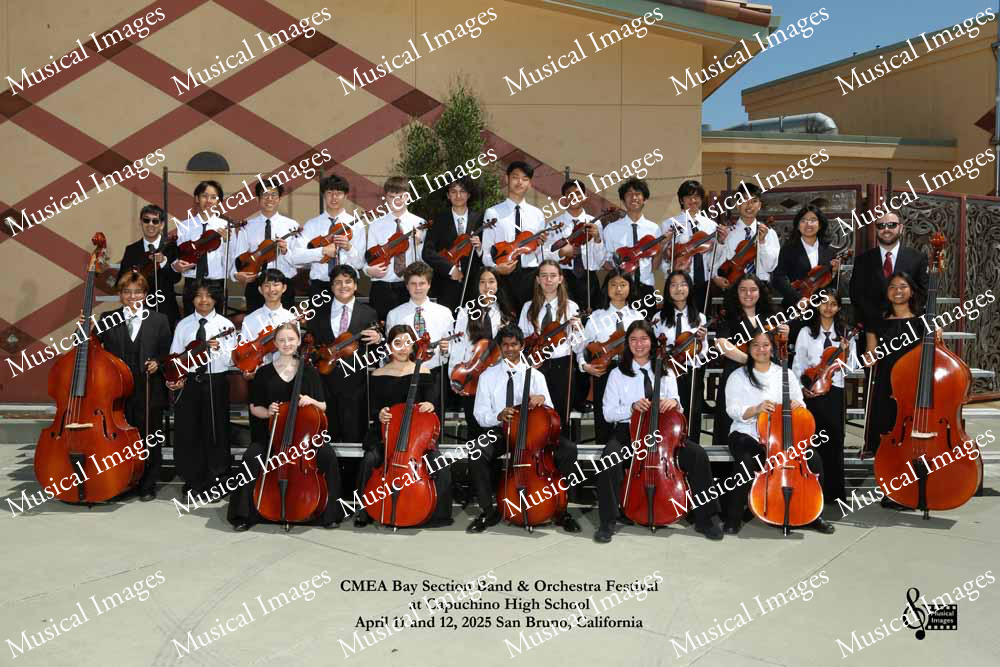 Musical Images